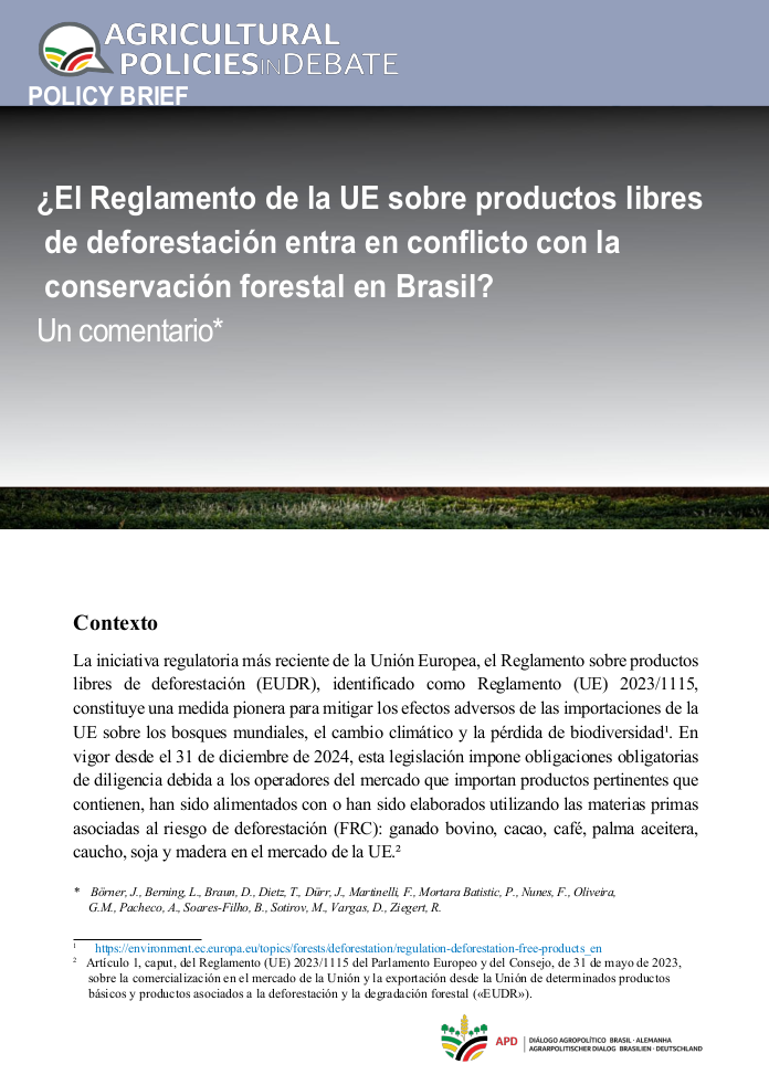 picture of sea walnut