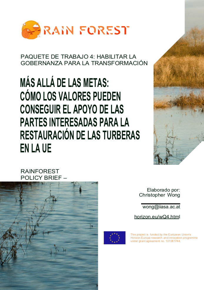 picture of sea walnut