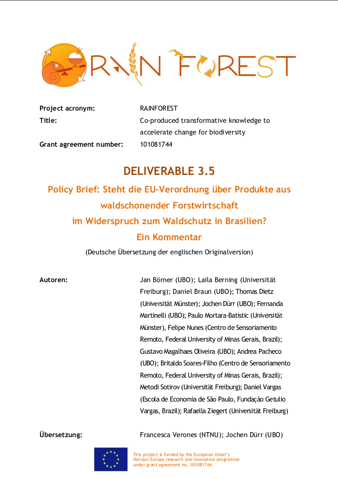 picture of sea walnut